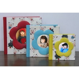 2012 Fancy Baby Photo Albums